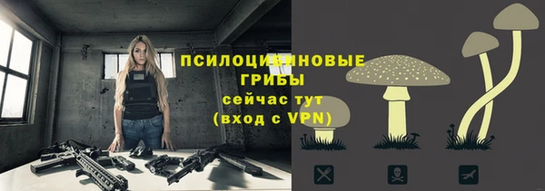 трава Переславль-Залесский