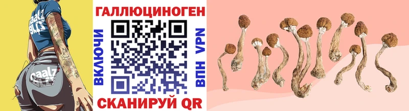 купить закладку  Карабаново  Псилоцибиновые грибы Magic Shrooms 